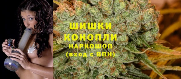 твердый Алзамай