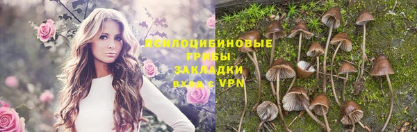 трава Алексин