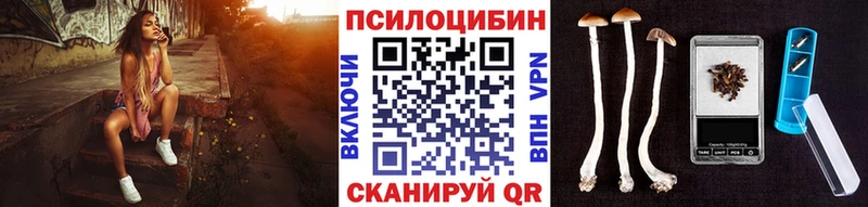Псилоцибиновые грибы Psilocybine cubensis  Вилючинск 